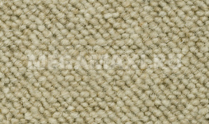 Премиум Ковролин Шерсть 100% 5588 (Бельгия) Премиум Ковролин Шерсть 100% 5588 (Бельгия)